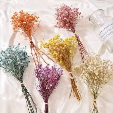 Dried Flower